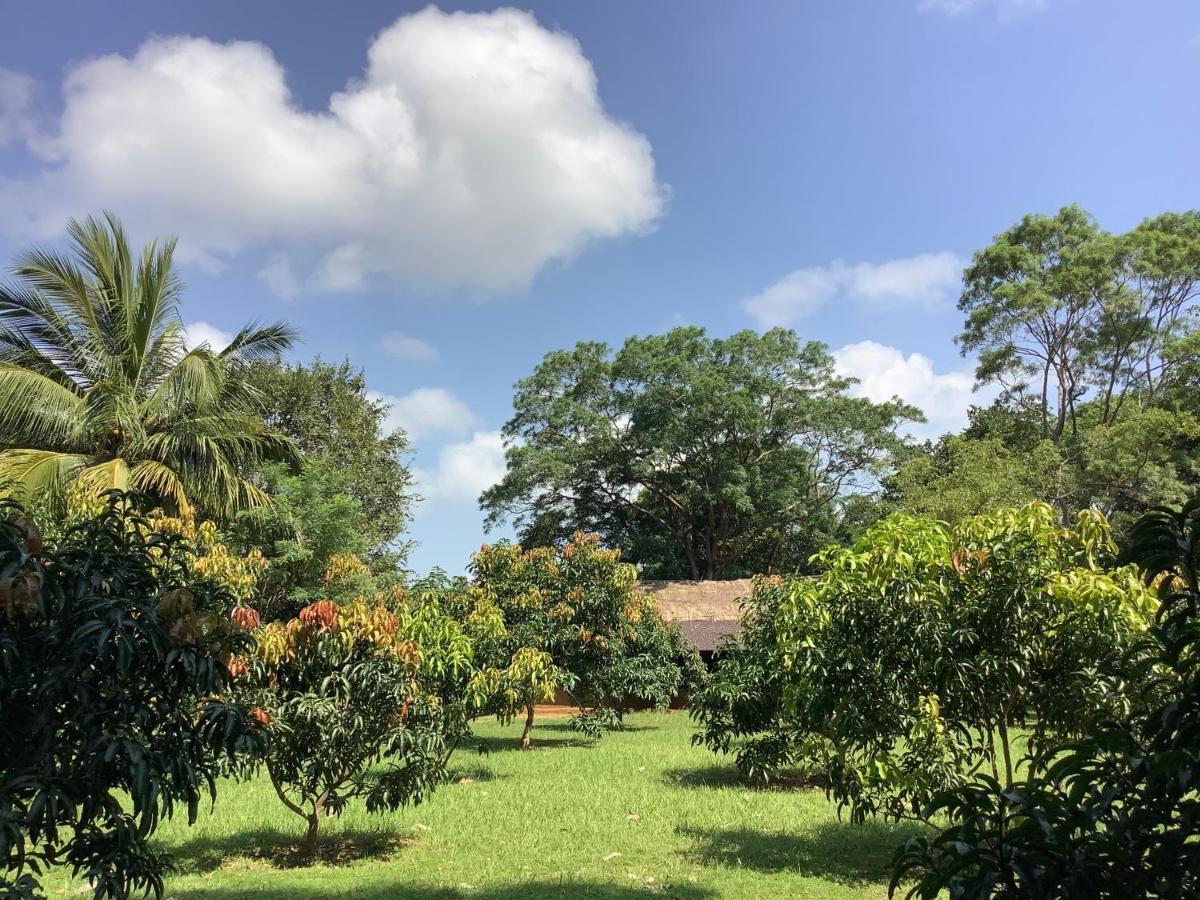 Mind Body And Soul Hotel Dambulla Exterior photo