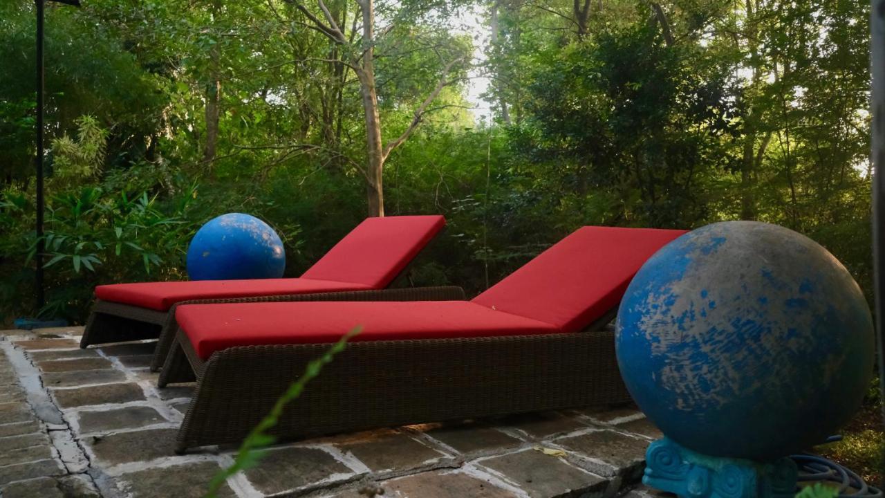 Mind Body And Soul Hotel Dambulla Exterior photo