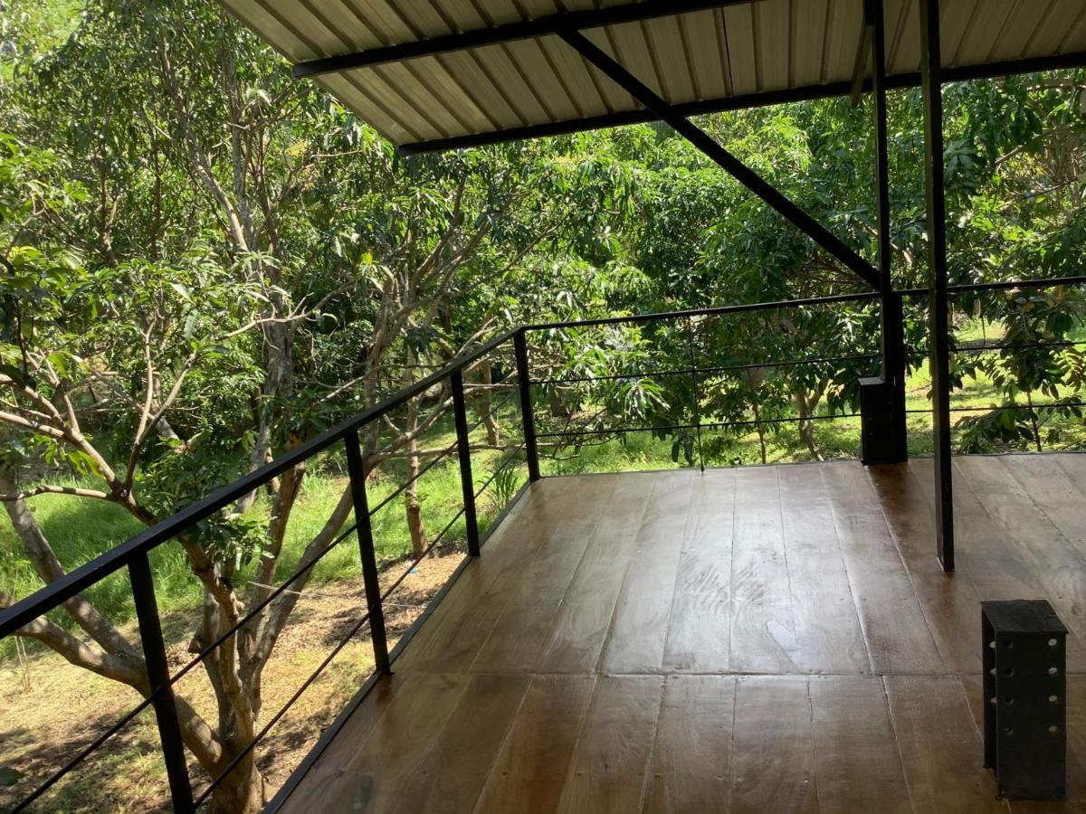 Mind Body And Soul Hotel Dambulla Exterior photo