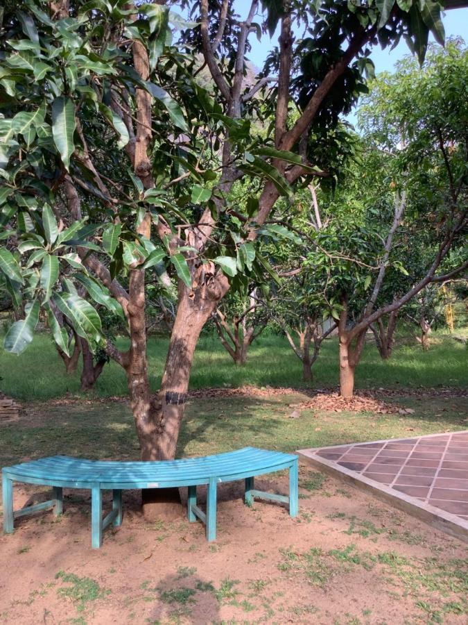 Mind Body And Soul Hotel Dambulla Exterior photo
